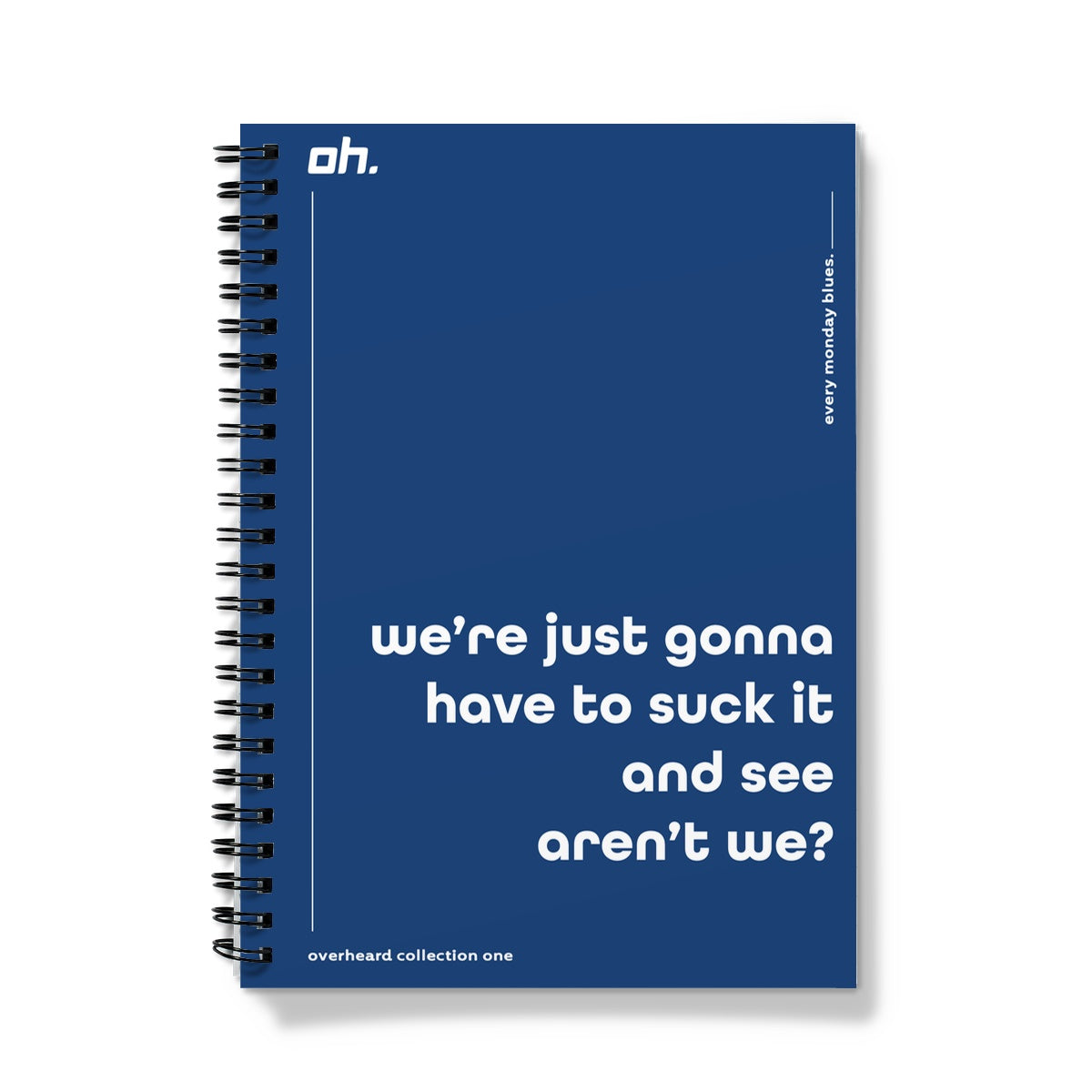 We're Just Going To Have To Suck It And See Aren't We (Every Monday Blues) Notebook