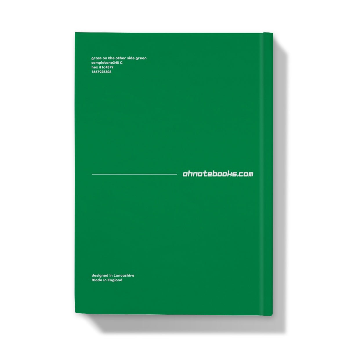 Even Professionals Get It Wrong (Grass On The Other Side Green) Hardback Journal